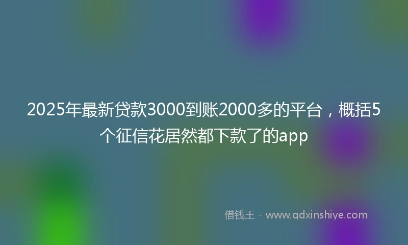 2025年最新贷款3000到账2000多的平台，概括5个征信花居然都下款了的app