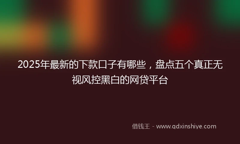 2025年最新的下款口子有哪些，盘点五个真正无视风控黑白的网贷平台