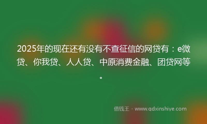 2025年的现在还有没有不查征信的网贷有：e微贷、你我贷、人人贷、中原消费金融、团贷网等。