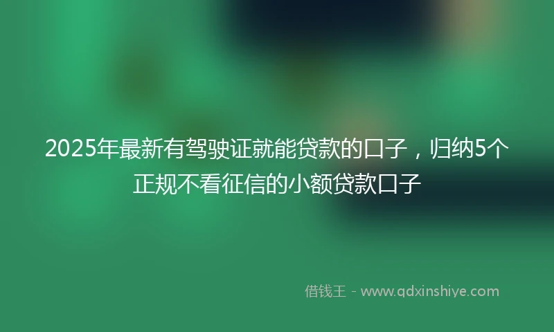 2025年最新有驾驶证就能贷款的口子，归纳5个正规不看征信的小额贷款口子