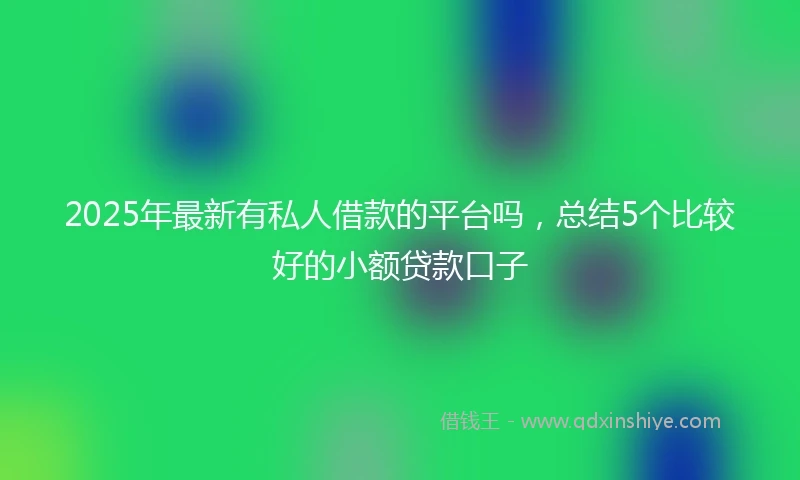 2025年最新有私人借款的平台吗，总结5个比较好的小额贷款口子