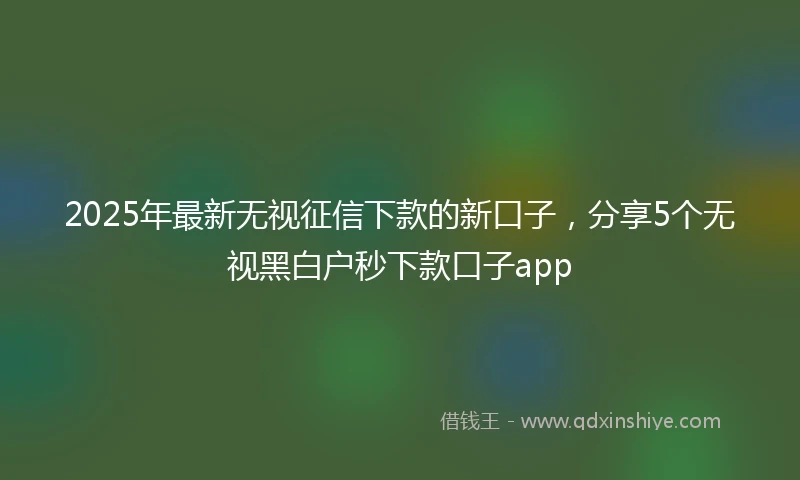 2025年最新无视征信下款的新口子，分享5个无视黑白户秒下款口子app