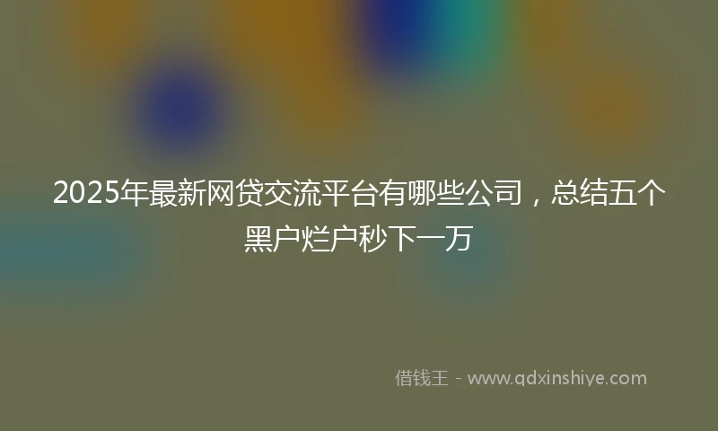 2025年最新网贷交流平台有哪些公司，总结五个黑户烂户秒下一万