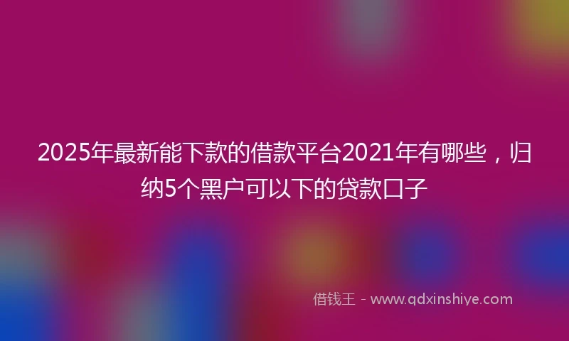 2025年最新能下款的借款平台2021年有哪些，归纳5个黑户可以下的贷款口子