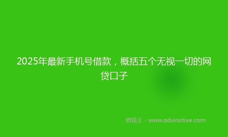 2025年最新手机号借款，概括五个无视一切的网贷口子
