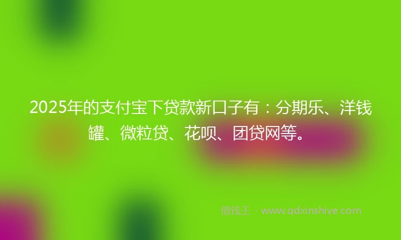 2025年的支付宝下贷款新口子有：分期乐、洋钱罐、微粒贷、花呗、团贷网等。