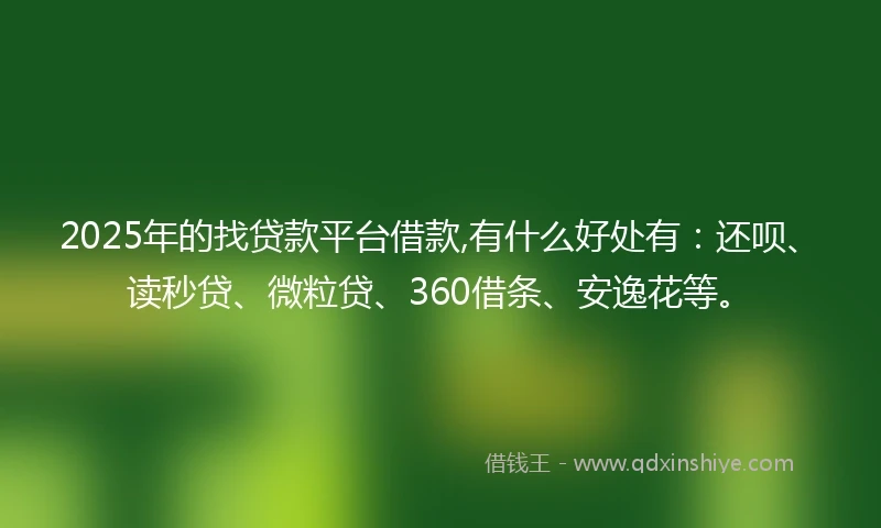 2025年的找贷款平台借款,有什么好处有：还呗、读秒贷、微粒贷、360借条、安逸花等。