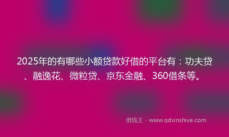 2025年的有哪些小额贷款好借的平台有：功夫贷、融逸花、微粒贷、京东金融、360借条等。