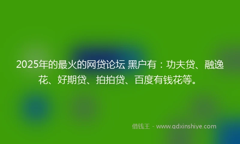 2025年的最火的网贷论坛 黑户有：功夫贷、融逸花、好期贷、拍拍贷、百度有钱花等。