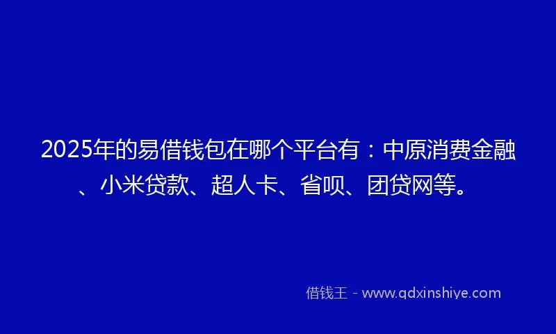 2025年的易借钱包在哪个平台有：中原消费金融、小米贷款、超人卡、省呗、团贷网等。