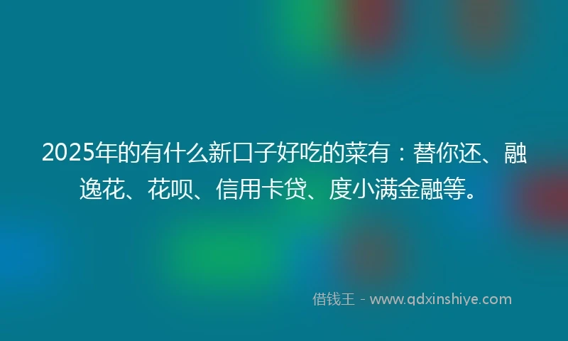 2025年的有什么新口子好吃的菜有：替你还、融逸花、花呗、信用卡贷、度小满金融等。