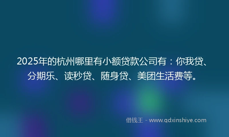 2025年的杭州哪里有小额贷款公司有：你我贷、分期乐、读秒贷、随身贷、美团生活费等。