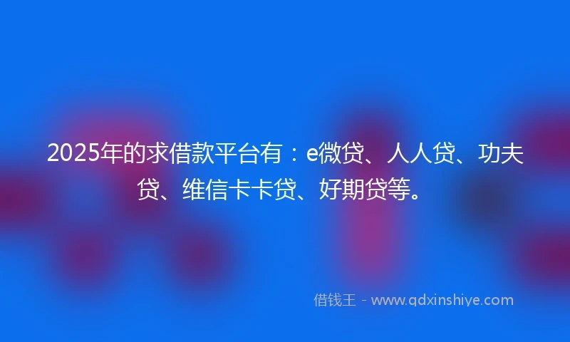2025年的求借款平台有：e微贷、人人贷、功夫贷、维信卡卡贷、好期贷等。