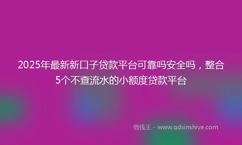 2025年最新新口子贷款平台可靠吗安全吗，整合5个不查流水的小额度贷款平台