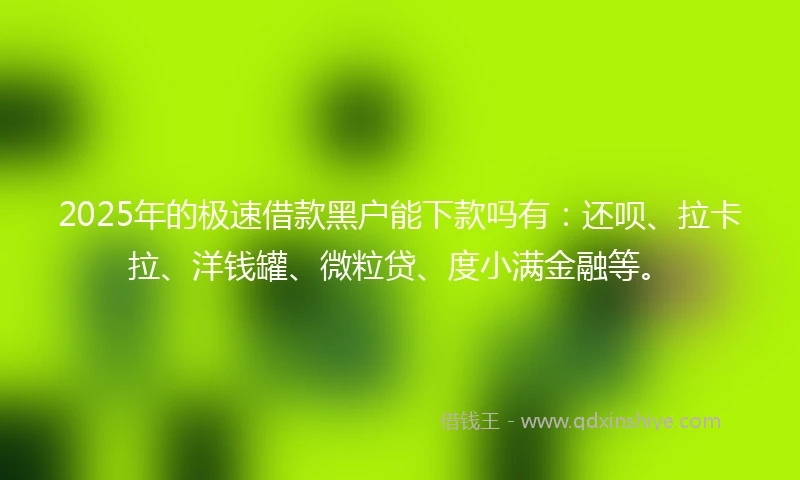 2025年的极速借款黑户能下款吗有：还呗、拉卡拉、洋钱罐、微粒贷、度小满金融等。