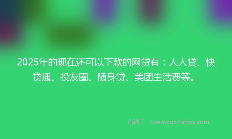 2025年的现在还可以下款的网贷有：人人贷、快贷通、投友圈、随身贷、美团生活费等。
