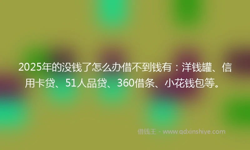 2025年的没钱了怎么办借不到钱有：洋钱罐、信用卡贷、51人品贷、360借条、小花钱包等。