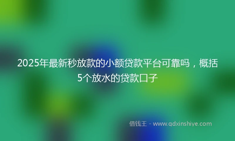 2025年最新秒放款的小额贷款平台可靠吗，概括5个放水的贷款口子