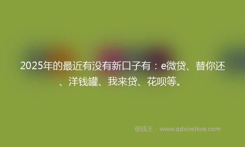 2025年的最近有没有新口子有：e微贷、替你还、洋钱罐、我来贷、花呗等。