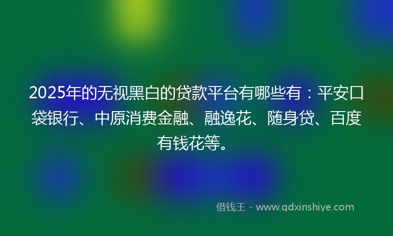 2025年的无视黑白的贷款平台有哪些有：平安口袋银行、中原消费金融、融逸花、随身贷、百度有钱花等。