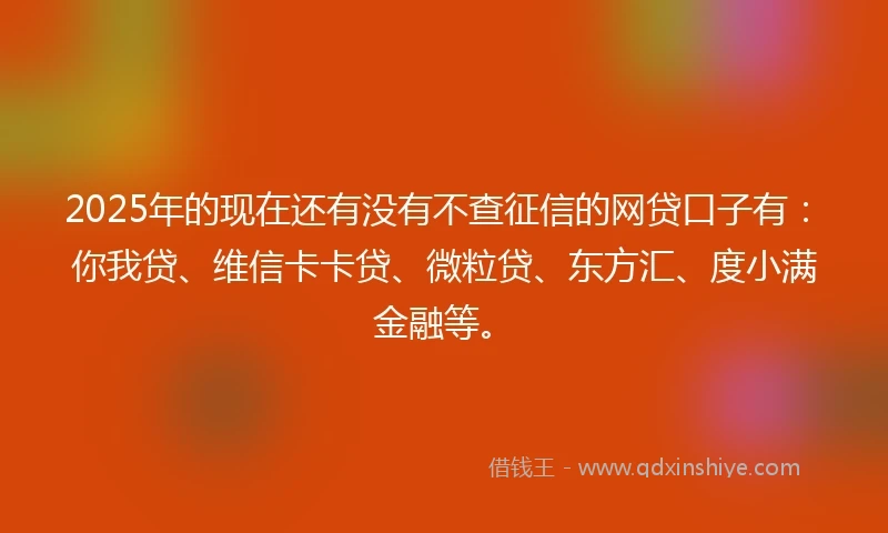 2025年的现在还有没有不查征信的网贷口子有：你我贷、维信卡卡贷、微粒贷、东方汇、度小满金融等。