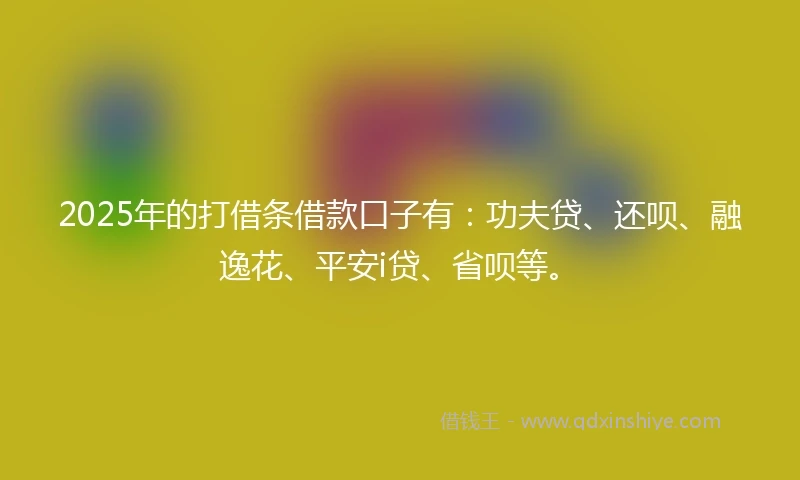 2025年的打借条借款口子有：功夫贷、还呗、融逸花、平安i贷、省呗等。