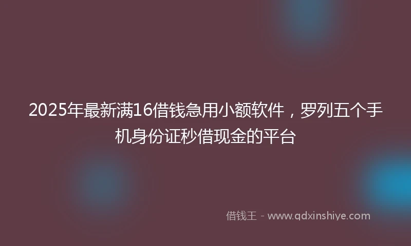 2025年最新满16借钱急用小额软件，罗列五个手机身份证秒借现金的平台