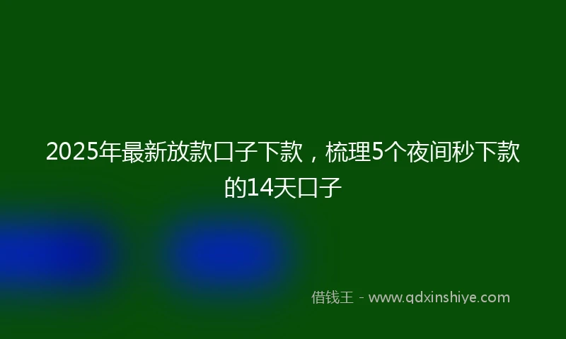 2025年最新放款口子下款，梳理5个夜间秒下款的14天口子
