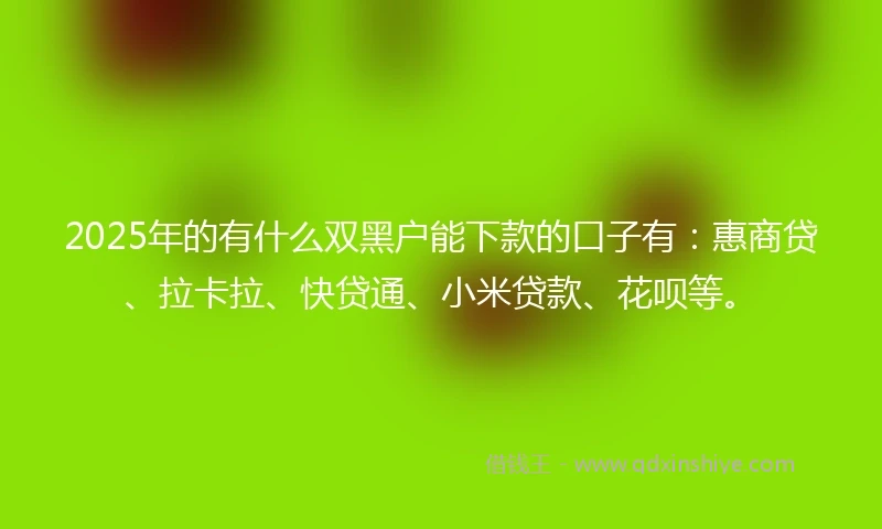 2025年的有什么双黑户能下款的口子有：惠商贷、拉卡拉、快贷通、小米贷款、花呗等。