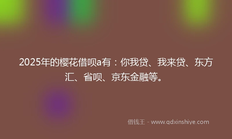 2025年的樱花借呗a有：你我贷、我来贷、东方汇、省呗、京东金融等。
