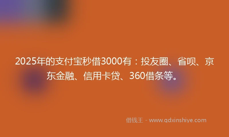 2025年的支付宝秒借3000有：投友圈、省呗、京东金融、信用卡贷、360借条等。