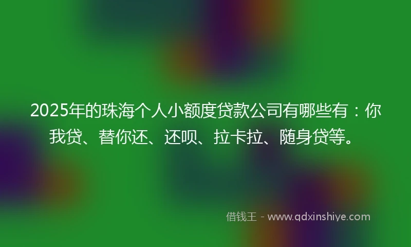 2025年的珠海个人小额度贷款公司有哪些有：你我贷、替你还、还呗、拉卡拉、随身贷等。