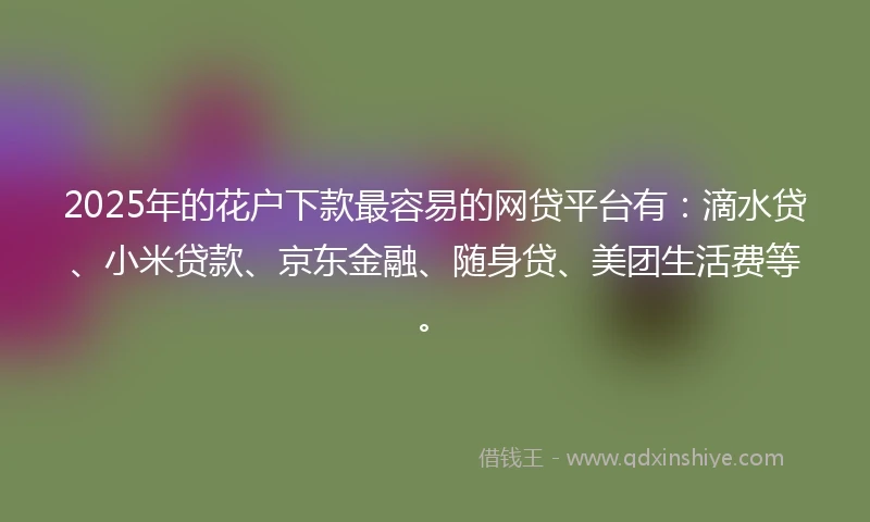 2025年的花户下款最容易的网贷平台有：滴水贷、小米贷款、京东金融、随身贷、美团生活费等。
