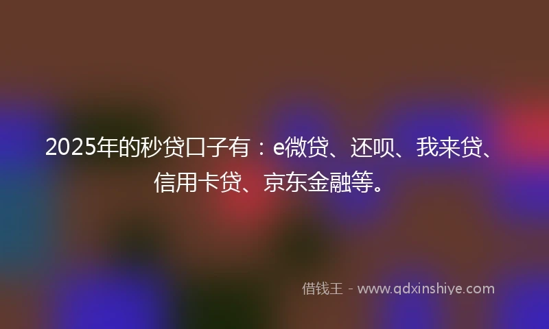 2025年的秒贷口子有：e微贷、还呗、我来贷、信用卡贷、京东金融等。