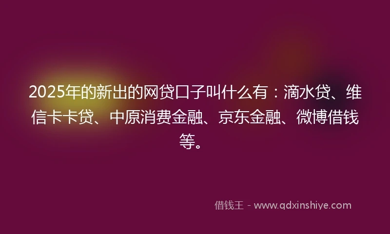 2025年的新出的网贷口子叫什么有：滴水贷、维信卡卡贷、中原消费金融、京东金融、微博借钱等。