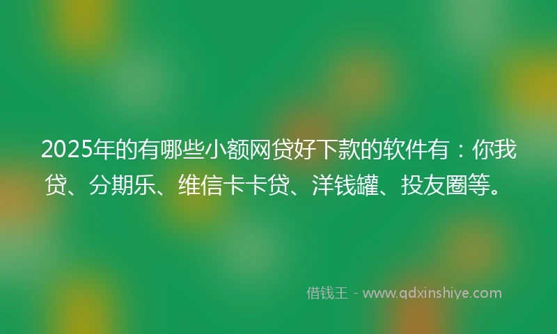 2025年的有哪些小额网贷好下款的软件有：你我贷、分期乐、维信卡卡贷、洋钱罐、投友圈等。