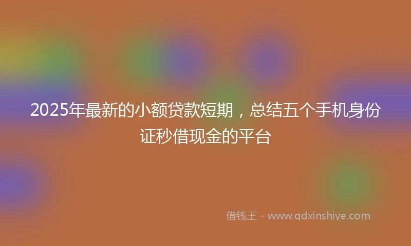 2025年最新的小额贷款短期，总结五个手机身份证秒借现金的平台