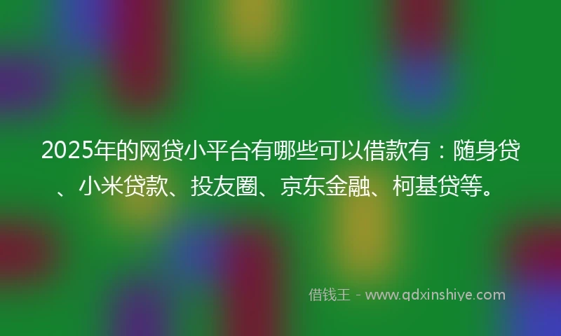 2025年的网贷小平台有哪些可以借款有：随身贷、小米贷款、投友圈、京东金融、柯基贷等。