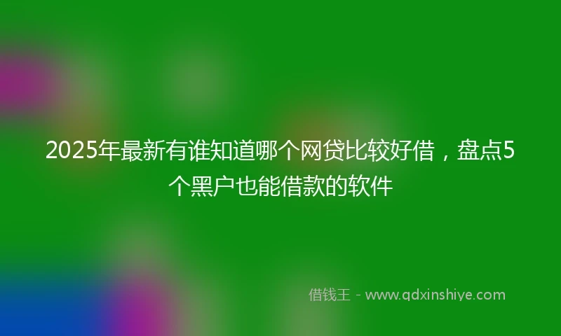 2025年最新有谁知道哪个网贷比较好借，盘点5个黑户也能借款的软件