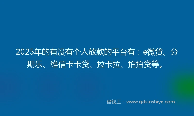2025年的有没有个人放款的平台有：e微贷、分期乐、维信卡卡贷、拉卡拉、拍拍贷等。