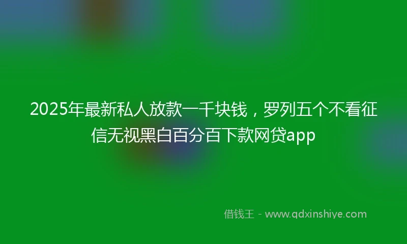 2025年最新私人放款一千块钱，罗列五个不看征信无视黑白百分百下款网贷app