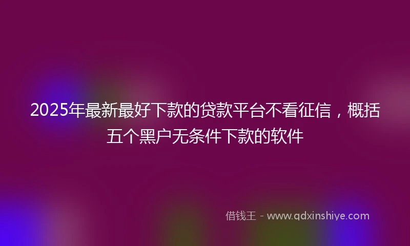 2025年最新最好下款的贷款平台不看征信，概括五个黑户无条件下款的软件