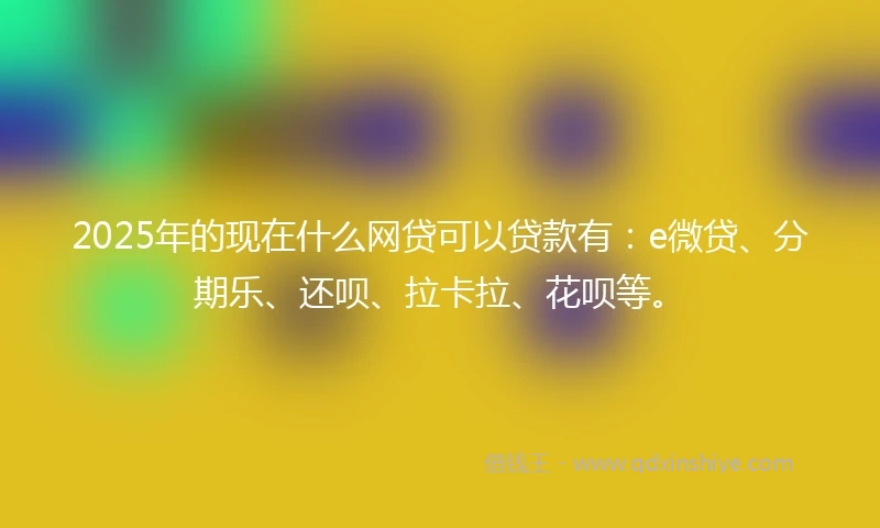 2025年的现在什么网贷可以贷款有：e微贷、分期乐、还呗、拉卡拉、花呗等。
