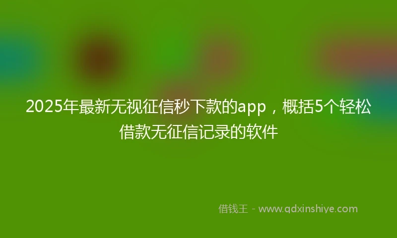 2025年最新无视征信秒下款的app，概括5个轻松借款无征信记录的软件
