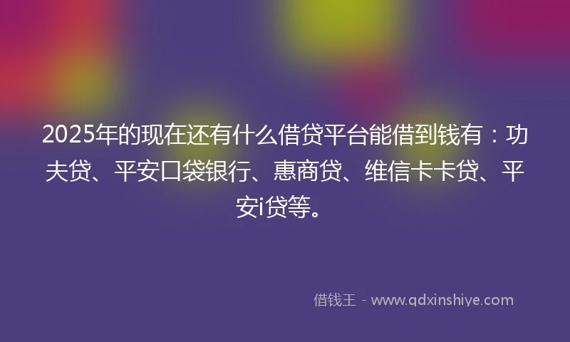 2025年的现在还有什么借贷平台能借到钱有：功夫贷、平安口袋银行、惠商贷、维信卡卡贷、平安i贷等。