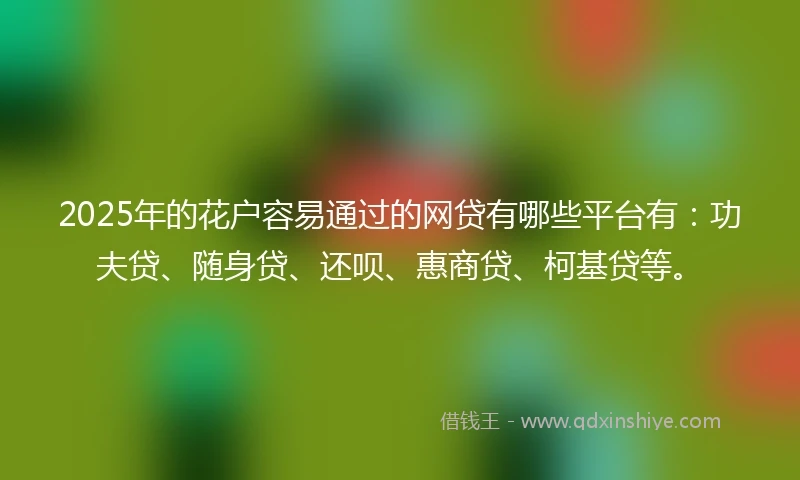 2025年的花户容易通过的网贷有哪些平台有：功夫贷、随身贷、还呗、惠商贷、柯基贷等。
