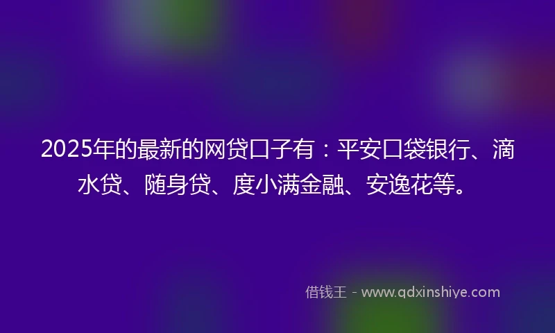 2025年的最新的网贷口子有：平安口袋银行、滴水贷、随身贷、度小满金融、安逸花等。