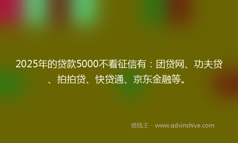 2025年的贷款5000不看征信有：团贷网、功夫贷、拍拍贷、快贷通、京东金融等。