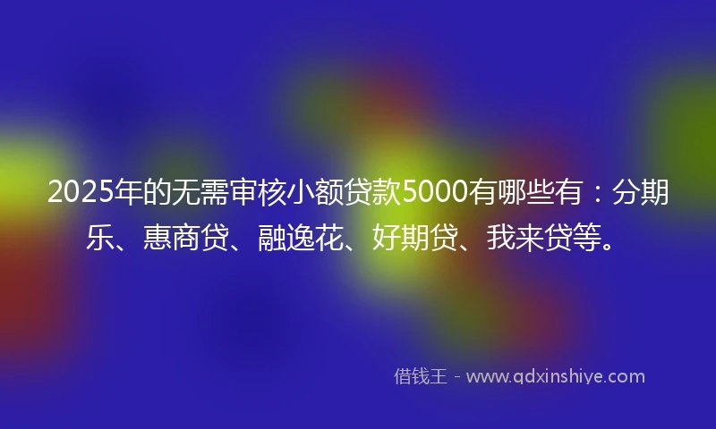 2025年的无需审核小额贷款5000有哪些有：分期乐、惠商贷、融逸花、好期贷、我来贷等。