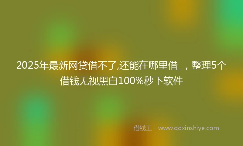 2025年最新网贷借不了,还能在哪里借_，整理5个借钱无视黑白100%秒下软件